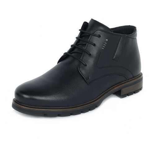 Ботинки мужские T.Taccardi 25907030 черные 42 RU в Salamander