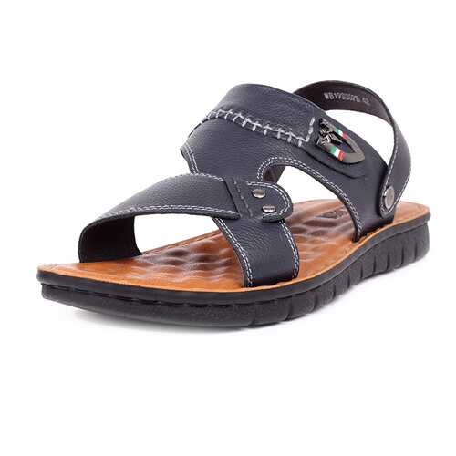 Сандалии мужские T.Taccardi 710017668 синие 43 RU в Salamander